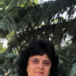 , 54, 