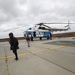 �����, ������, 54 ����