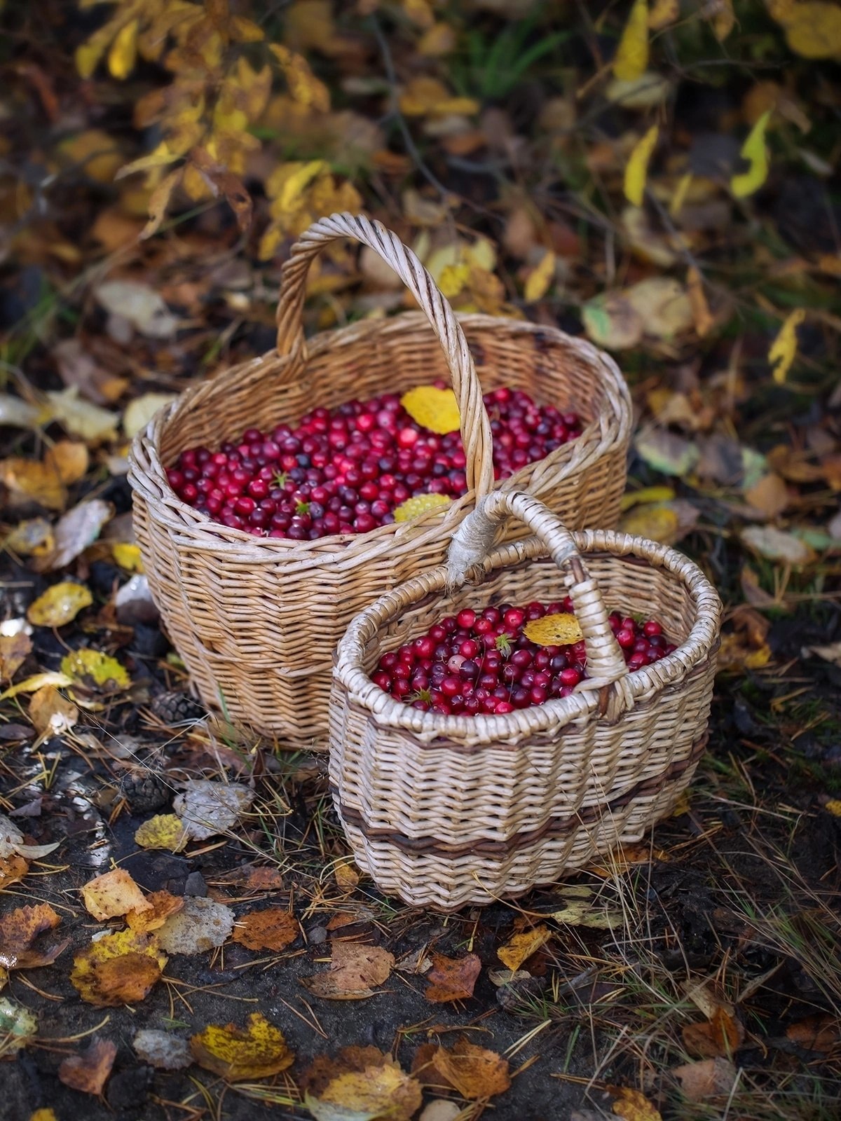        ,     ,   ,  ,  ... - 8