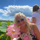 ���� ��������, �����-���������, 44 ���� - ��������� 22 �������� 2023 � ������ ���� ����������