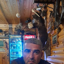 ���� �����, ������, 45 ��� - ��������� 14 �������� 2023