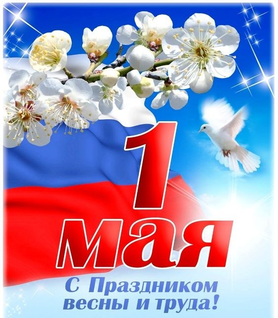   - 1  2023  11:37