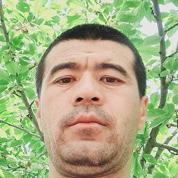 ����, �����, 36 ���