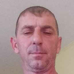 �����, �������, 47 ���