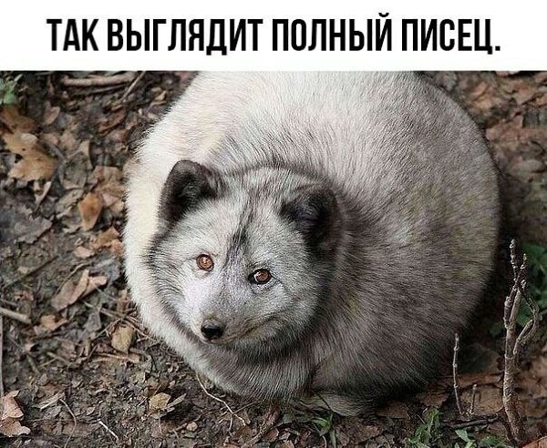    - 9  2023  20:19