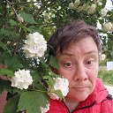 ���� �����, ����������, 38 ��� - ��������� 25 ���� 2023 � ������ ���� ����������