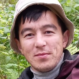 �����������, ������, 45 ���