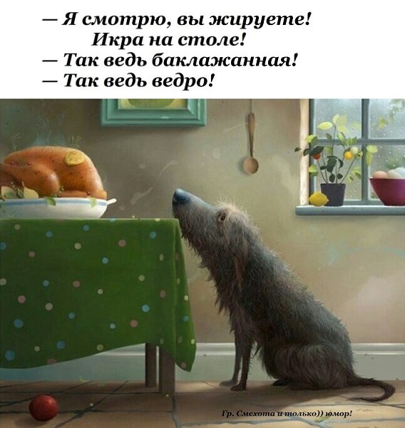  - 7  2023  05:38
