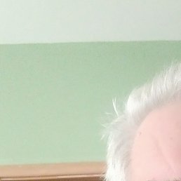 ������, ������, 70 ���