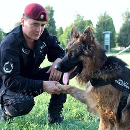 �������, ������, 30 ���