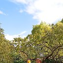 ���� ����, ��������, 59 ��� - ��������� 2 �������� 2023 � ������ ���� ����������