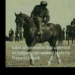 ���� ���, ������, 33 ���� - ��������� 12 ������ 2023