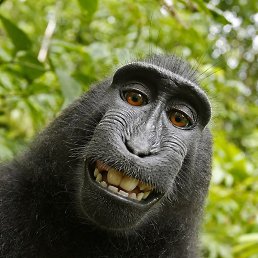 �����, ��������, 22 ����