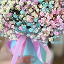 ���� �����, �������-���������, 37 ��� - ��������� 28 �������� 2023 � ������ ���� ����������
