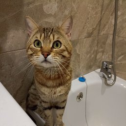 ���� ����, ������, 37 ��� - ��������� 13 ������� 2023