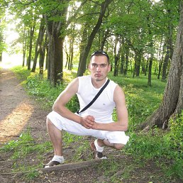 ���� ����, ������, 39 ��� - ��������� 3 ��� 2023