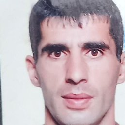 �����, ����������, 42 ����