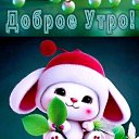 ���� ��������, ��������, 66 ��� - ��������� 14 ������ 2023 � ������ ���� ����������