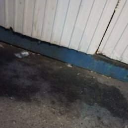 ���, ������, 37 ���