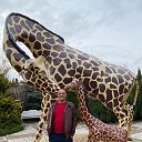 ���� �������, ���������, 51 ��� - ��������� 29 ����� 2023 � ������ ���� ����������