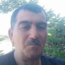 �����, ����, 60 ���