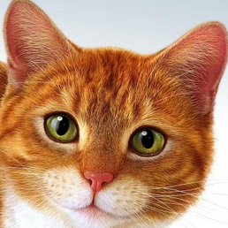 ������, ������, 63 ����