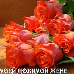 ��������, ������, 95 ���