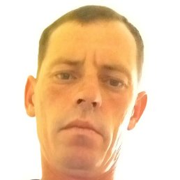 �����, ������, 41 ���