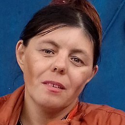 �����, ������, 41 ���