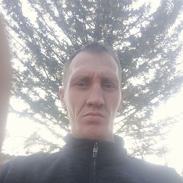 �������, �����������, 40 ���