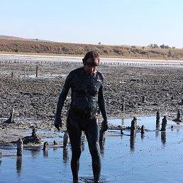 �����, ������, 37 ���