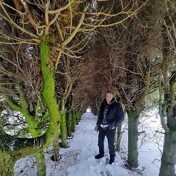 ������, ������, 55 ���