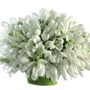  Nastya, -, 41  -  31  2023    