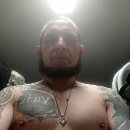 ����, ������ �������, 41 ���