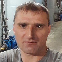 ������, ������, 41 ���