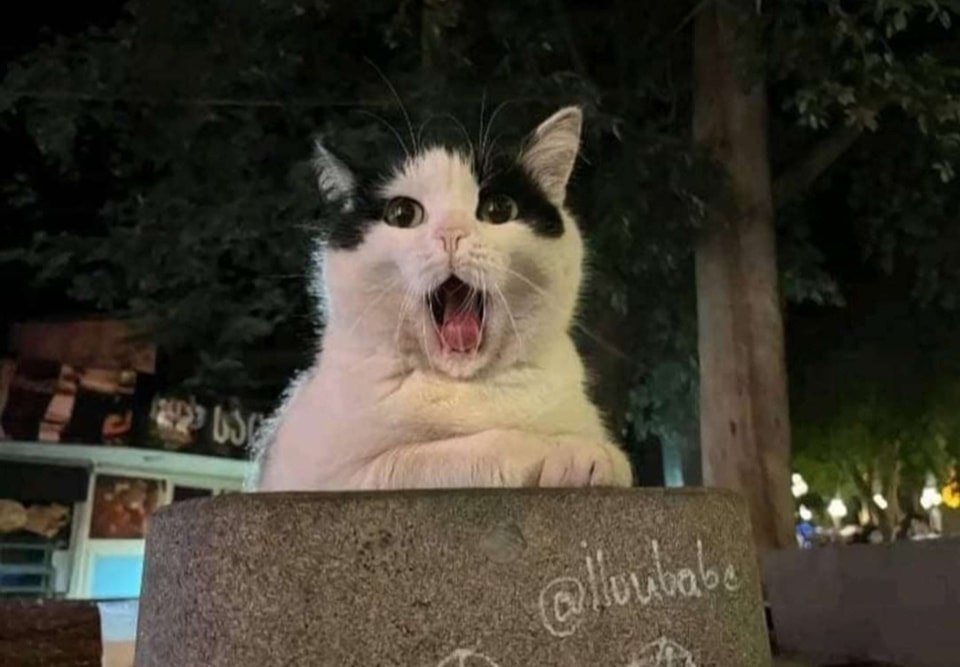   ,      )))