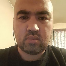 �����, ���������, 43 ����