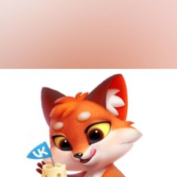 , , 55 