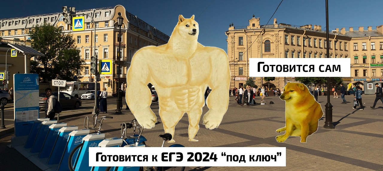       2024?        17  24   ...