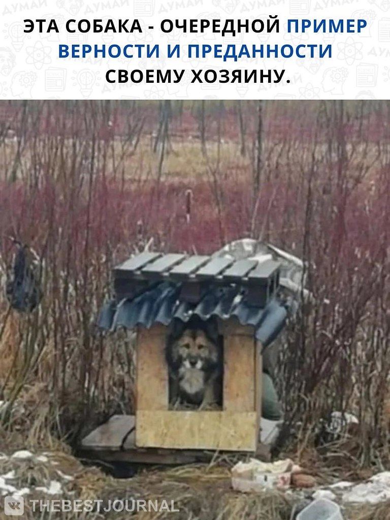  .,          .  ... - 3