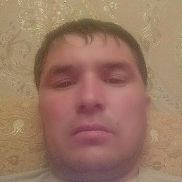 �����, �����������, 41 ���