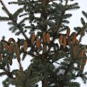  ***L***,   -  8  2023   ʻ