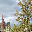 ���� ���������, ������ - ��������� 9 ��� 2023 � ������ ���� ����������