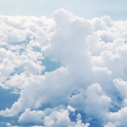 �����, ��������, 21 ���