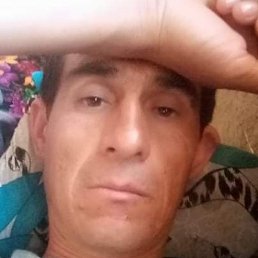 ��, �������, 45 ���