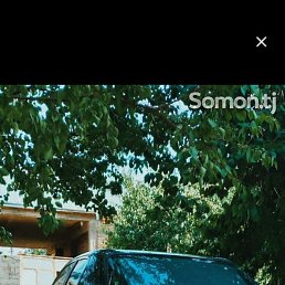 ���, �������, 41 ���