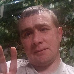 �����, ������, 41 ���