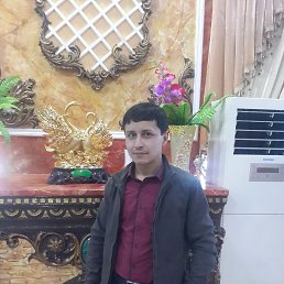 , 39, 