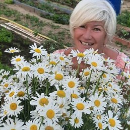 �������, ������, 62 ����