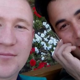 �����, ������, 33 ����